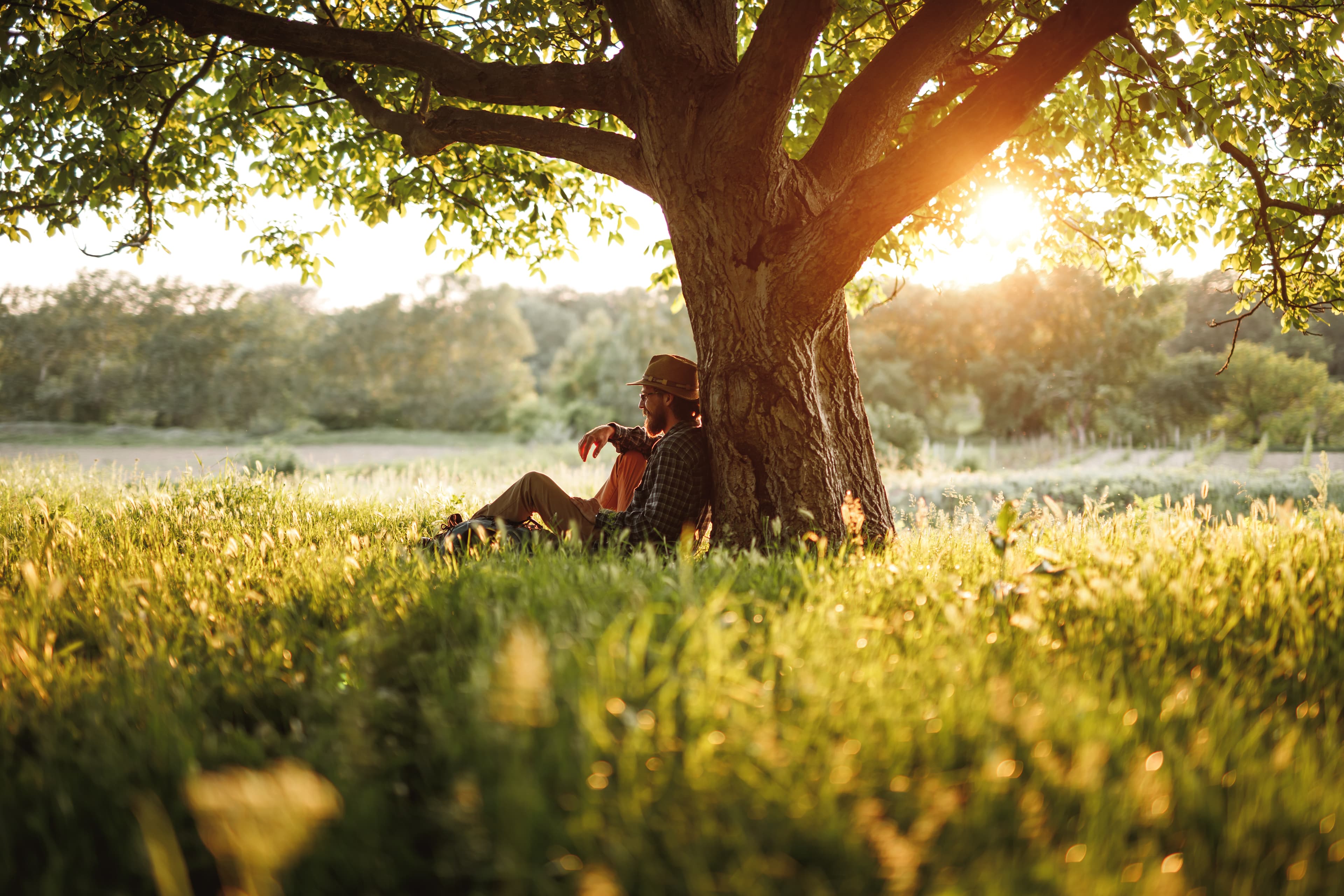 So lernst Du wie man mit Stress umgeht - Coaching in Wien