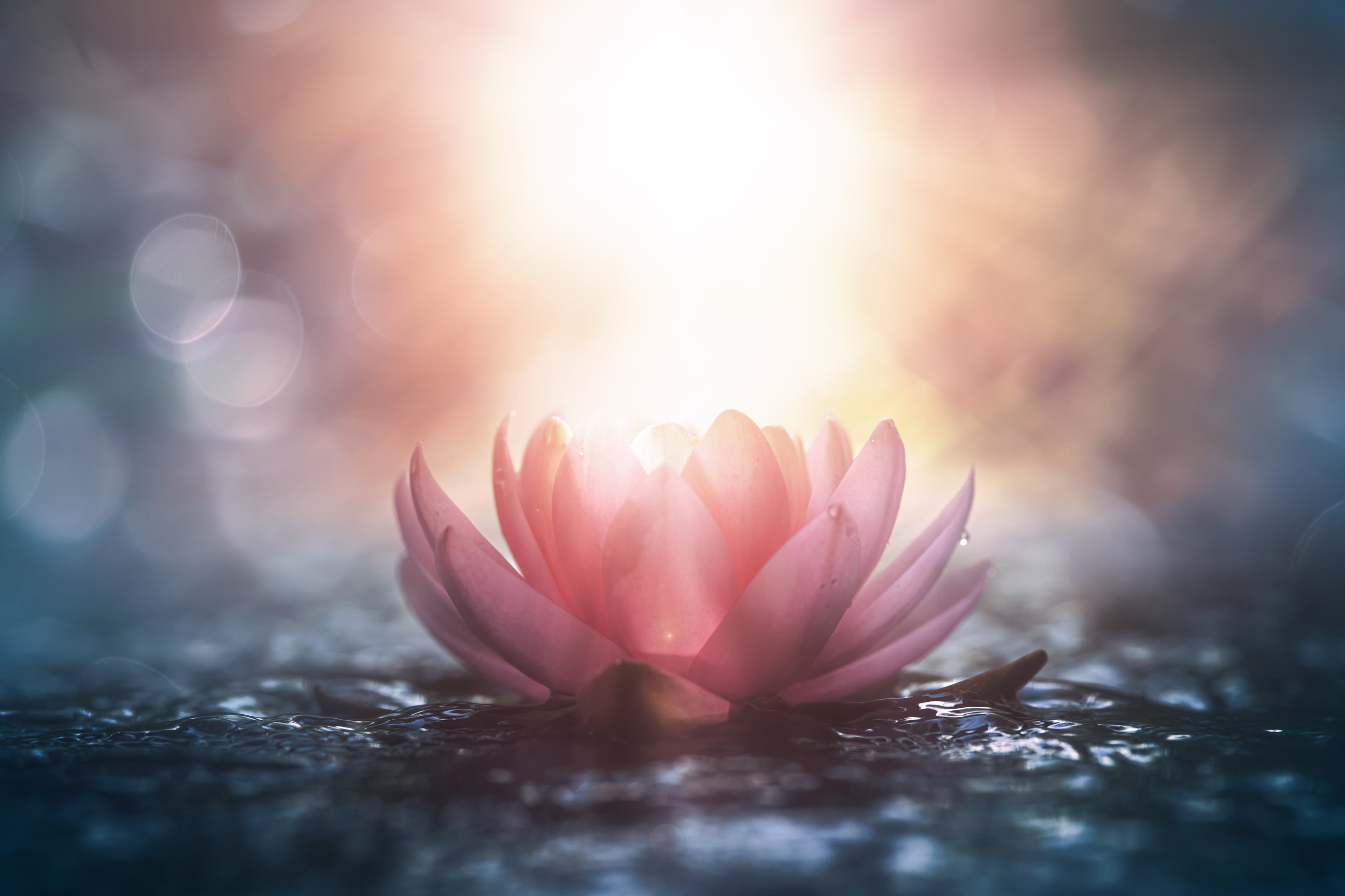 Spirituelle Begleitung bei innerer Leere - Kinesiologie in Wien